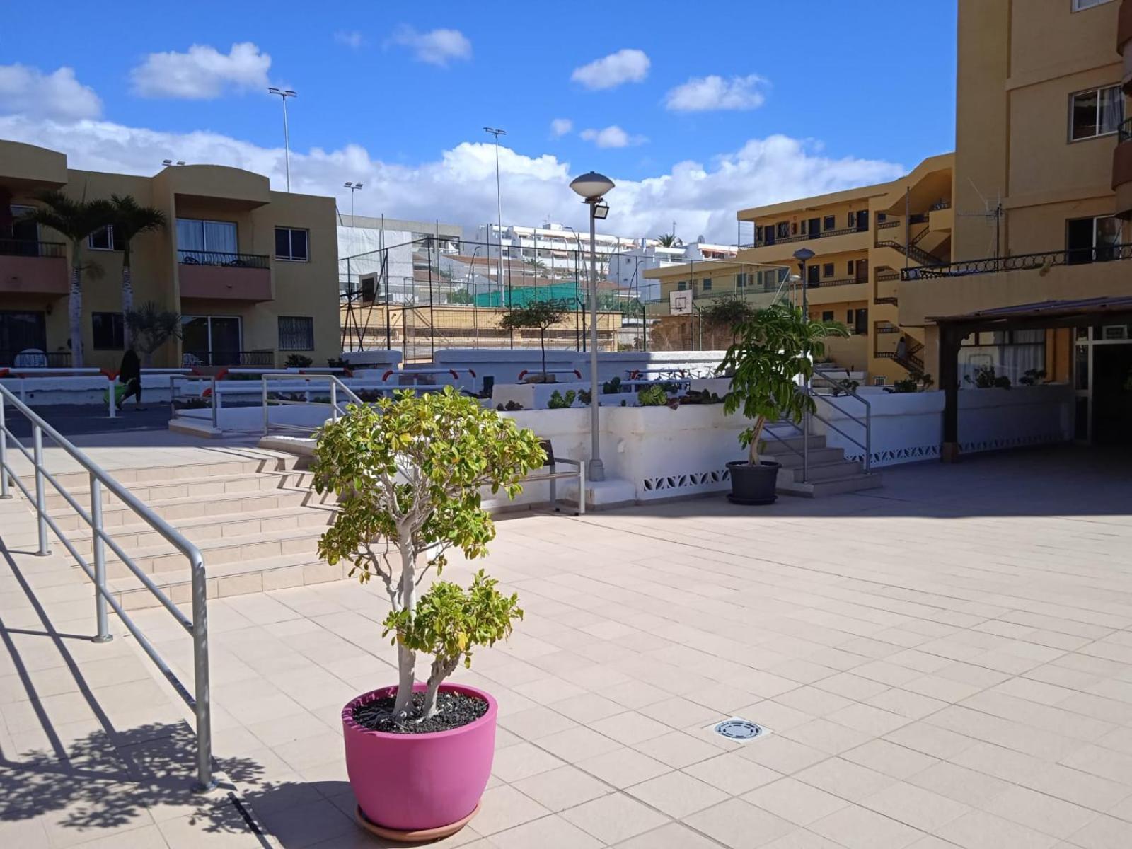 Firstline Apartment Los Cristianos Arona  Exterior photo